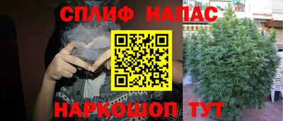 дмт Бузулук